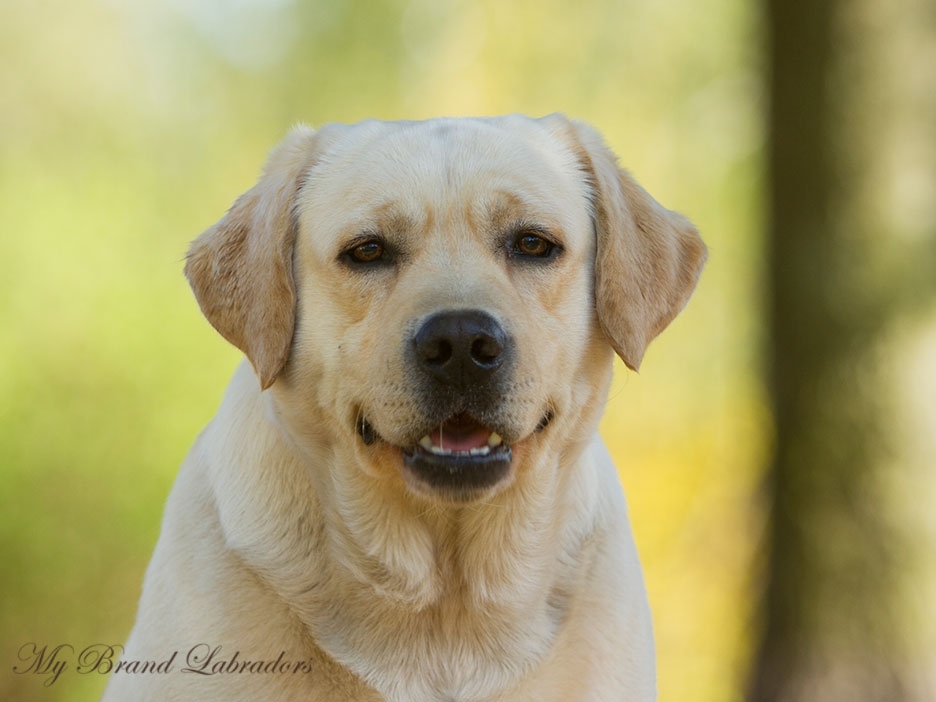 Smiling fellow