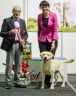 Winning the Junior BEST IN SHOW, judged by Jose Vidal Montero, Spain. Photo by Siim Kinnas, thank you!