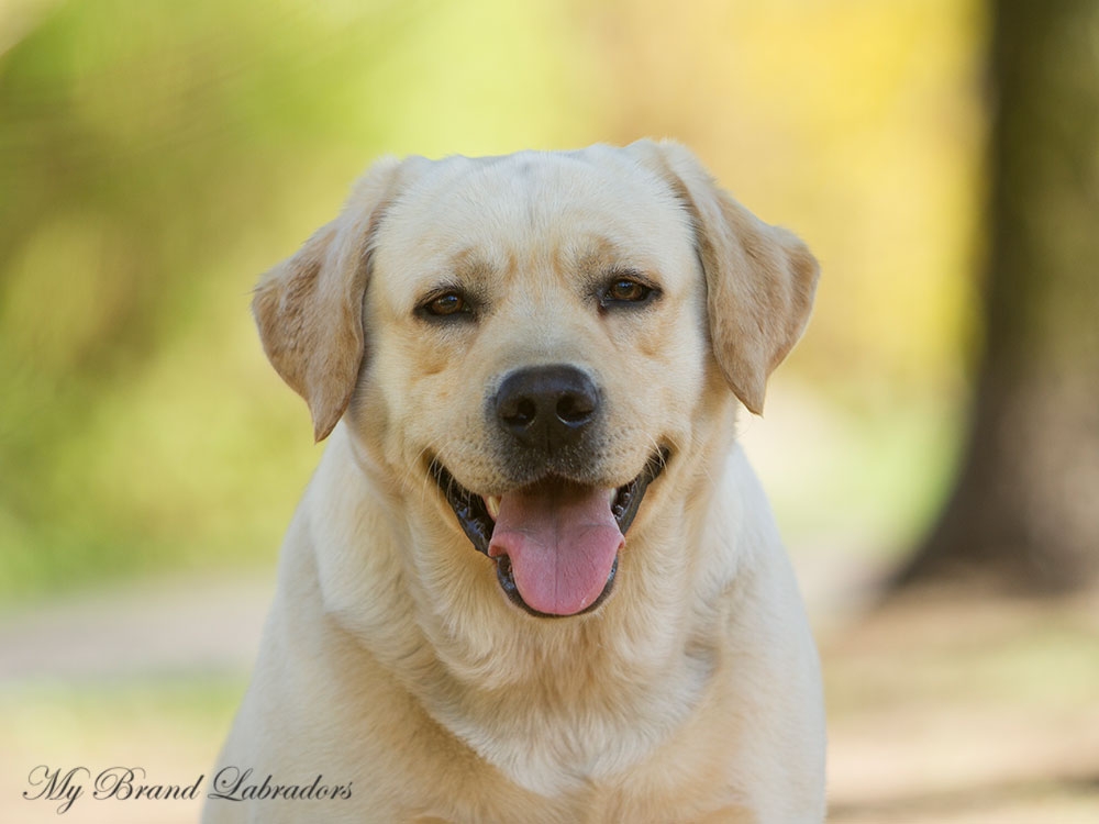 Always happy to pose for the camera :)