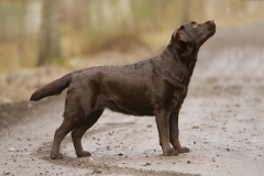The Happiest Little Sweetheart z Grodu Hrabiego Malmesbury
