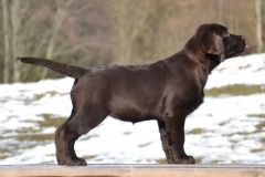 The Happiest Little Sweetheart z Grodu Hrabiego Malmesbury