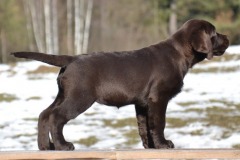 The Happiest Little Sweetheart z Grodu Hrabiego Malmesbury