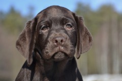 The Happiest Little Sweetheart z Grodu Hrabiego Malmesbury