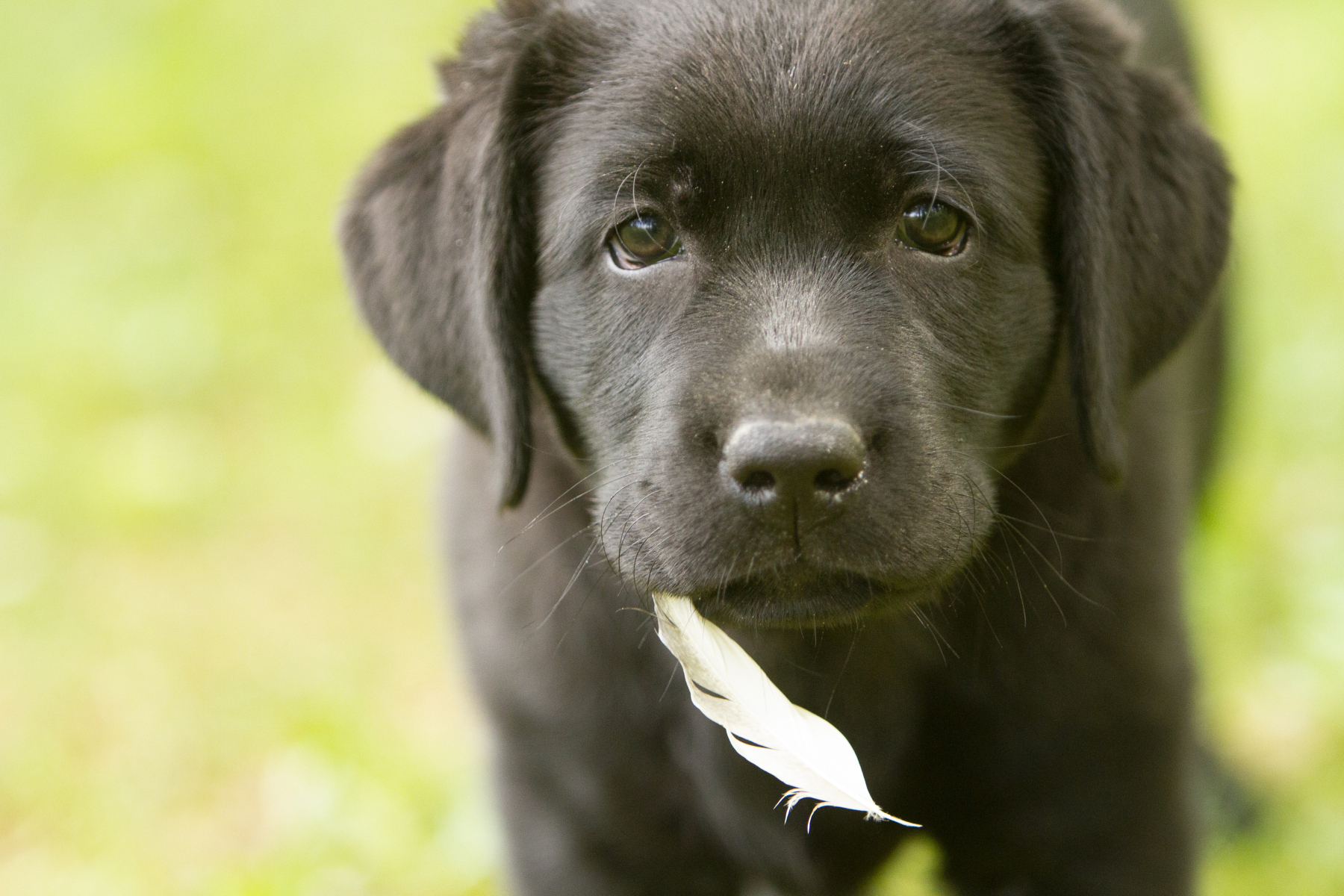 Upwards Oh My What A Night