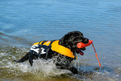 Upwards Oh My What A Night "Merida"