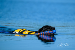 Upwards Oh My What A Night "Merida"