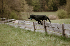 Upwards Oh My What A Night "Merida"