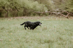 Upwards Oh My What A Night "Merida"