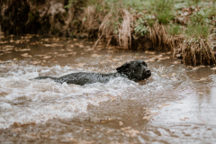 Upwards Oh My What A Night "Merida"