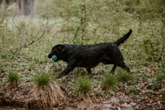 Upwards Oh My What A Night "Merida"