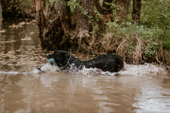 Upwards Oh My What A Night "Merida"