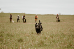 Upwards Oh My What A Night "Merida"