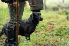 Upwards Oh My What A Night "Merida"