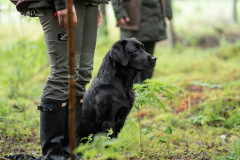 Upwards Oh My What A Night "Merida"