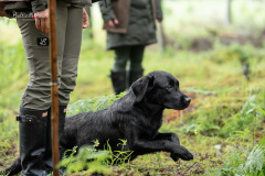 Upwards Oh My What A Night "Merida"