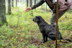 Upwards Oh My What A Night "Merida"