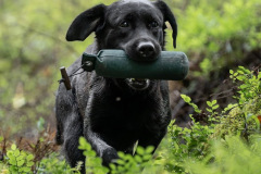 Upwards Oh My What A Night "Merida"