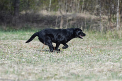 Upwards Oh My What A Night "Merida"