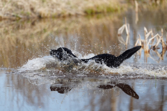 Upwards Oh My What A Night "Merida"