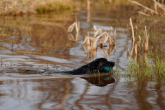 Upwards Oh My What A Night "Merida"