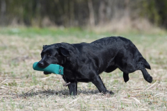 Upwards Oh My What A Night "Merida"