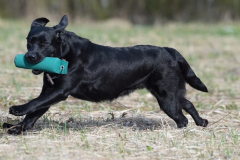 Upwards Oh My What A Night "Merida"