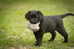 Upwards Oh My What A Night "Merida"