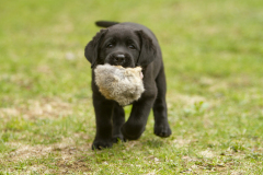 Upwards Oh My What A Night "Merida"