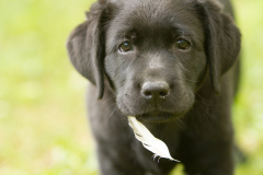 Upwards Oh My What A Night "Merida"