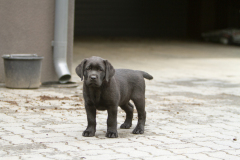 Upwards Oh My What A Night "Merida"