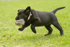 Upwards Oh My What A Night "Merida"