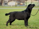 victoria-6m