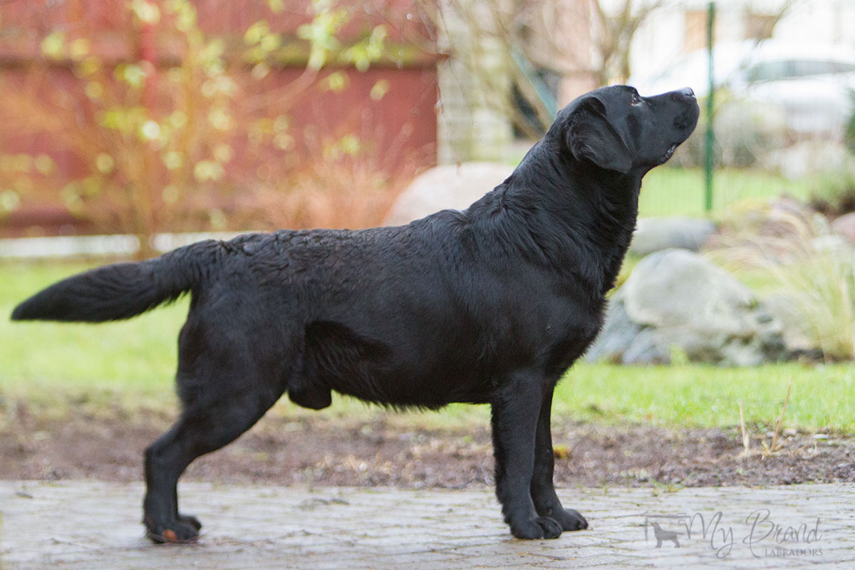 Waterline's Think Twice