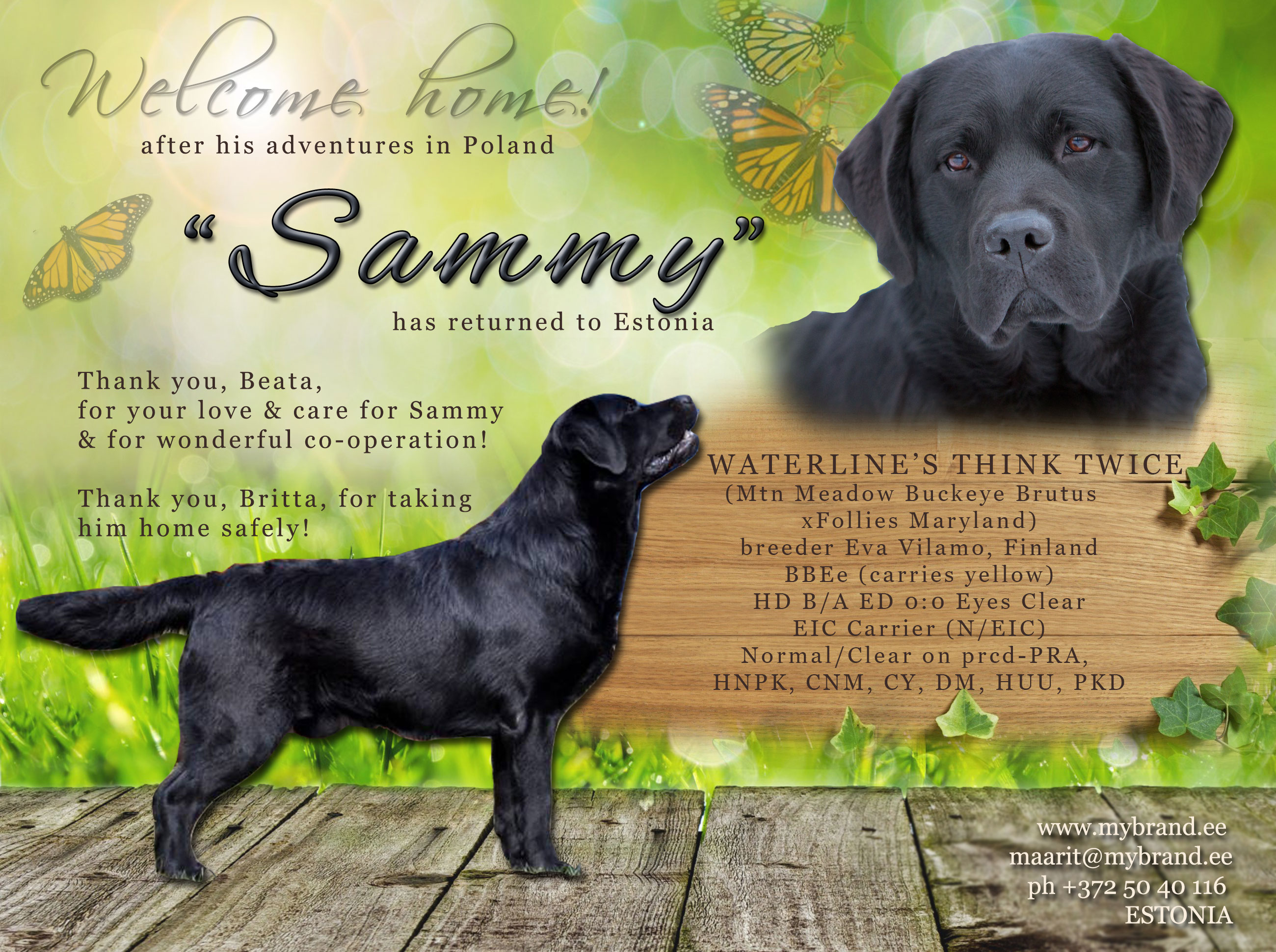 sammy-is-back-home