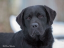 Waterline's Think Twice at the age of 13 months