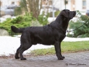 Waterline's Think Twice at the age of 13 months