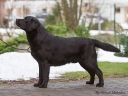 Waterline's Think Twice at the age of 13 months