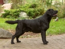 Waterline's Think Twice (11 months old)