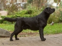 Waterline's Think Twice (11 months old)