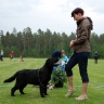 Waterline's Think Twice (Sammy) at the Finnish LRC´s Specialty Show in Harjavalta, Finland 7.6.2014. Handled by his breeder Eva. Photo by Tatiana Potovina.